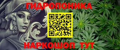 сатива Краснокаменск