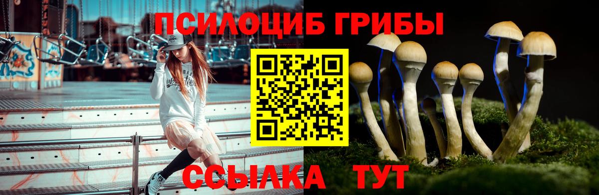 Галлюциногенные грибы мухоморы  Вход с VPN  Ирбит 